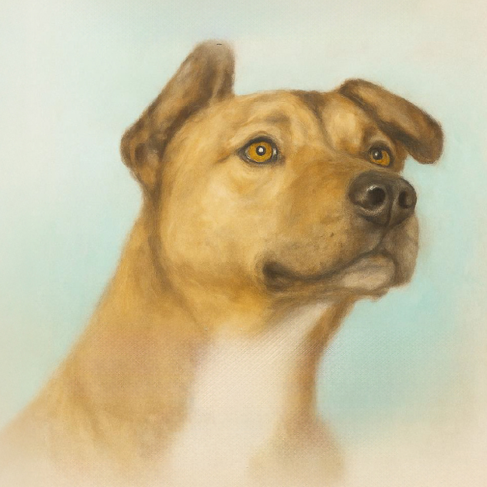 Ritratti a quattro zampe. Storie dipinte con il cuore