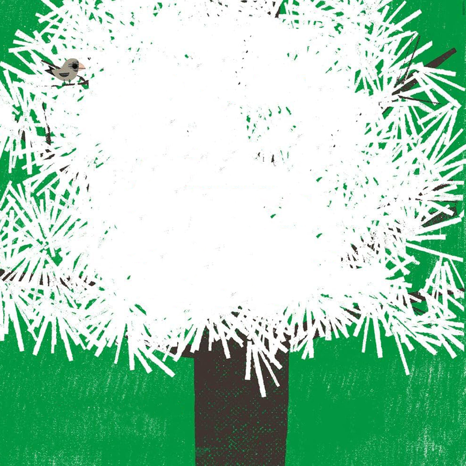 Cento Semi che presero il volo