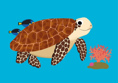 Piccoli Esploratori del Mare